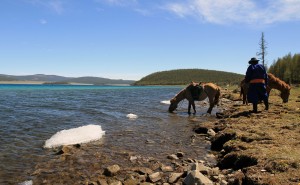 Our horses drinking from the lake.