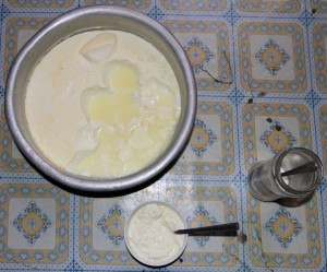 Yogurt made from yak milk.