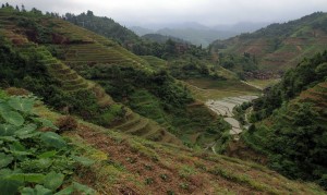 Valley with rice terraces on both sides.