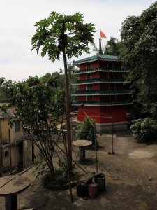 A pagoda in one of the temples found in the city of Tai O.