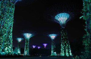 The "Supertree Grove" in the "Gardens by the Bay".