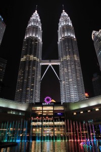 Yet another photo of the towers at night.