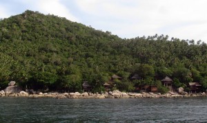 Resort and lush jungle along the shore of Koh Tao.