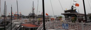 Tour boats docked at the marina in Ha Long Bay.