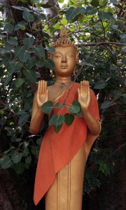 Buddha statue near a Bodhi tree transplanted from India.