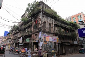 Antique building in Dhaka being consumed by plants.