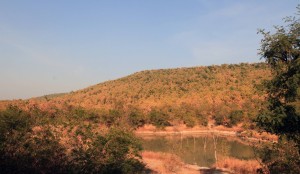 Water hole in Panna Tiger Reserve.