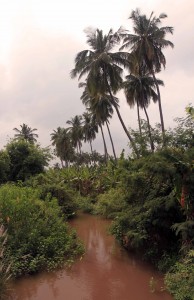 A sample of the jungle inside Hampi.