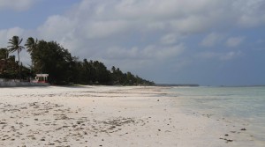 Beach near Paje on Zanzibar.