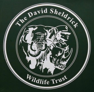The David Sheldrick Wildlife Trust logo.