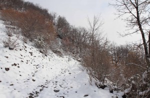 The snow-covered trail that leads to the viewpoint north of the town.