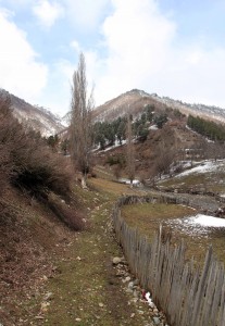 North of the farmlands in Mestia, approaching the other trail to the northern viewpoint.