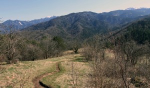 The Carpathian Mountains seen from Mount Tampa.