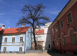 Buildings next to the Black Church in Brasov.