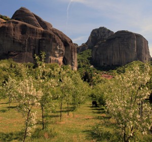 An orchard at Meteora.