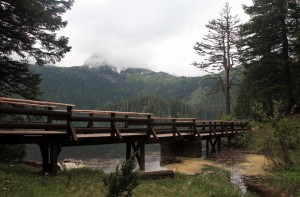 Bridge on the trail around Black Lake.
