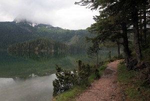 The trail that circles Black Lake.