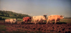 'Ploughing in the Nivernais' by Rosa Bonheur (1849 AD).