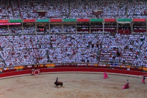 A banderillero planting two banderillas in to the bull’s shoulders.