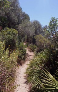 Trail through the Gibraltar Nature Reserve.