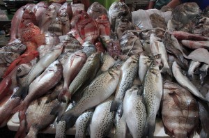 Fish on display in the market.