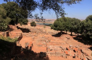 Roman ruins in Chellah.
