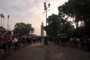 Horse-drawn carriages lined up, waiting for passengers and the Koutoubia Mosque's minaret in the distance.