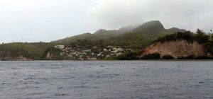 The rugged coast with houses and rainforest.