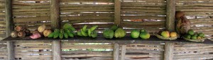 Fruit grown at the Morne Coubaril plantation.