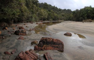A creek streaming out to Māori Beach.