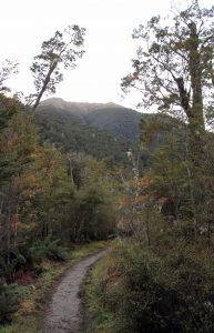 The trail in the Iris Burn Valley.