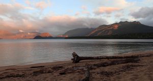 Lake Manapouri in the morning.