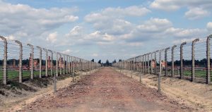 Path that bisects the Auschwitz II-Birkenau camp.