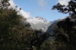 The Darran Mountains seen near the beginning of the Routeburn Track.