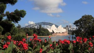The Sydney Opera House and Sydney Harbour Bridge seen from the Botanic Gardens.