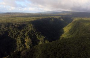 A valley on Efate Island.