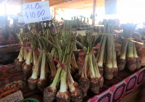 Dalo for sale at the market in Nadi.